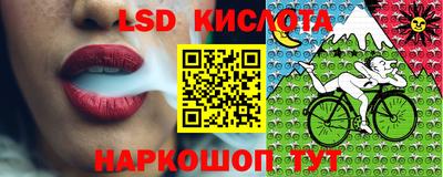 PSILOCYBIN Надым