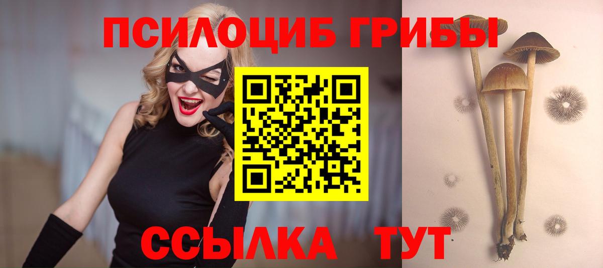 Амурск  Псилоцибиновые грибы Psilocybe  Галлюциногенные грибы Psilocybe  Вход с VPN 